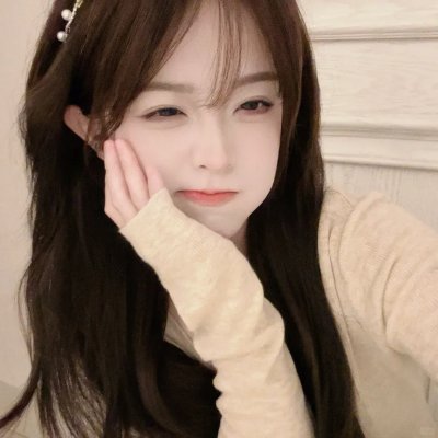 树袋熊